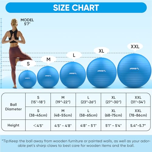 APEXUP Yoga Ball Exercise Ball, Anti Slip Stability Ball Chair, Heavy Duty Large Gym Ball for Fitness, Balance, Core Workout and Physical Therapy (M (19"~22'') 55cm, Blue) - Image 5