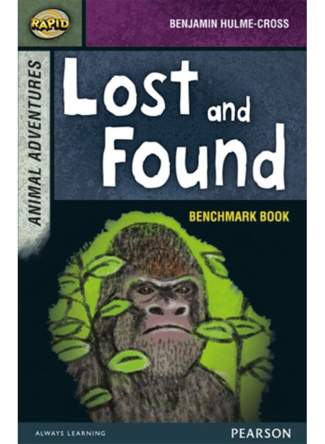 Rapid Stage 7 Assessment book: Lost and Found