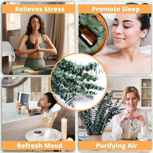 Koceko 12 Pcs Dried Eucalyptus for Shower Hanging - 17'' Real Large Preserved Eucalyptus Stems Green Home Decor, 100% Made from Fresh Eucalyptus Leaves, Bathroom Shower Decor, Wedding, DIY - Image 4