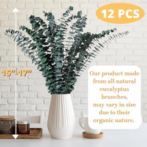 Koceko 12 Pcs Dried Eucalyptus for Shower Hanging - 17'' Real Large Preserved Eucalyptus Stems Green Home Decor, 100% Made from Fresh Eucalyptus Leaves, Bathroom Shower Decor, Wedding, DIY - Image 2