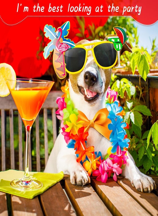 Reginary 100 Pieces Dog Bow Ties for Dogs with Adjustable Collar 19 Colors Puppy Cat Dog Neck Tie Collars Pet Grooming Accessories for Little Medium Girl Boy Pet Holiday Festival Wedding Birthday Gift Party - Image 3