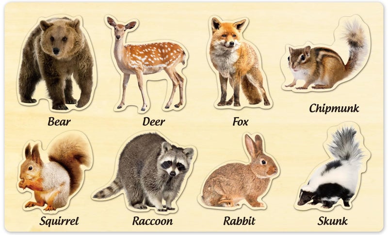 MoinKidz Wooden Jigsaw Puzzles for Toddlers by MoinKidz Woodland Animals Montessori Puzzles for Kids Ages 35 Educational Learning STEM Toys Birthday Gift for Boys Girls - Image 3