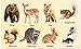 MoinKidz Wooden Jigsaw Puzzles for Toddlers by MoinKidz Woodland Animals Montessori Puzzles for Kids Ages 35 Educational Learning STEM Toys Birthday Gift for Boys Girls - Image 2