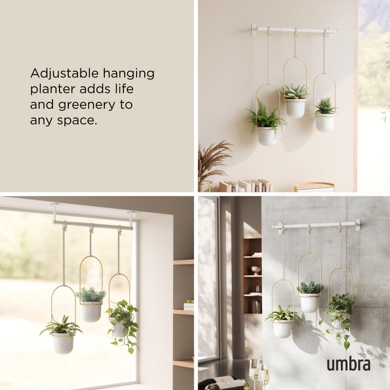 Umbra Triflora Hanging Planter for Window, Indoor Herb Garden, Set of 3, White/Brass - Image 4