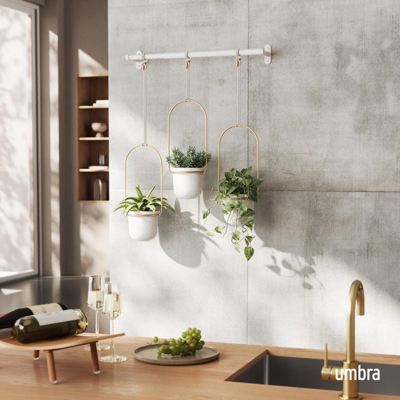 Umbra Triflora Hanging Planter for Window, Indoor Herb Garden, Set of 3, White/Brass - Image 2