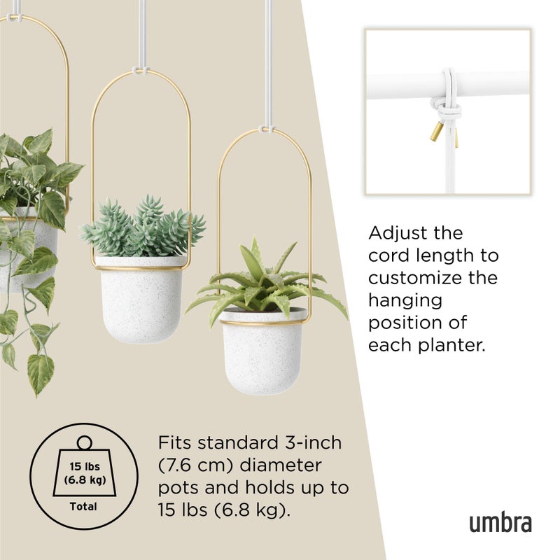 Umbra Triflora Hanging Planter for Window, Indoor Herb Garden, Set of 3, White/Brass - Image 5