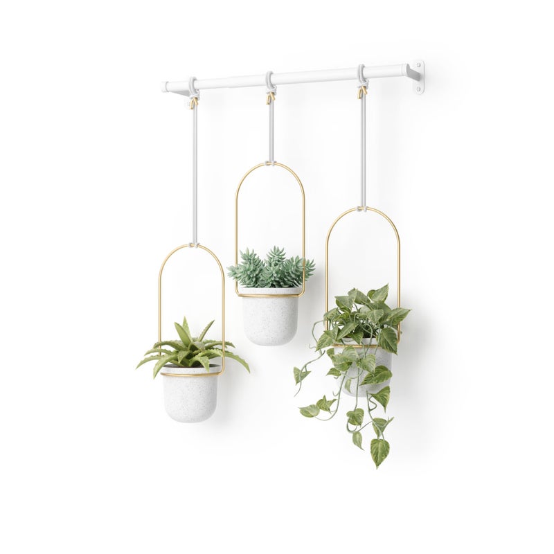 Umbra Triflora Hanging Planter for Window, Indoor Herb Garden, Set of 3, White/Brass - Image 1
