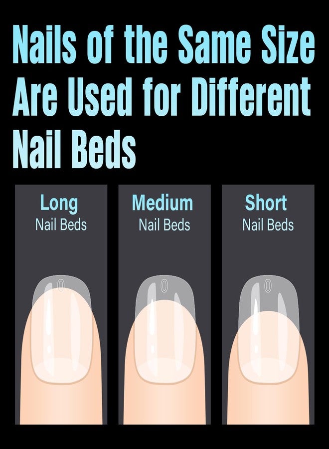 توميكا أطراف أظافر مربعة متوسطة الحجم من توميكا، 240 قطعة من أطراف أظافر أكريليك ناعمة نصف لامعة مسبقة التشكيل، أطراف جيلي شفافة اصطناعية، اضغطي على أظافر أكريليك لتمديد الأظافر بنفسكِ في صالون الأظافر، 12 مقاسًا - Image 2