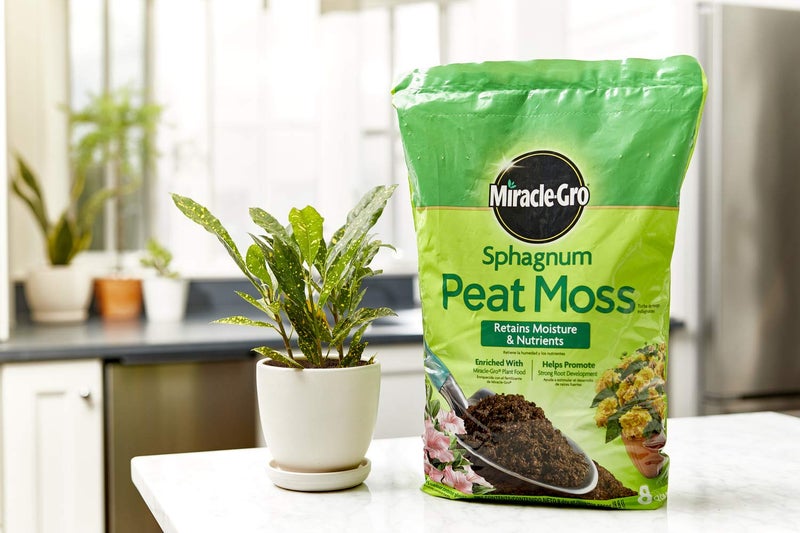 Miracle-Gro Sphagnum Peat Moss - Enriched with Plant Food, Add to Potting Mix and Native Soil, 8 qt. (2-Pack) - Image 3