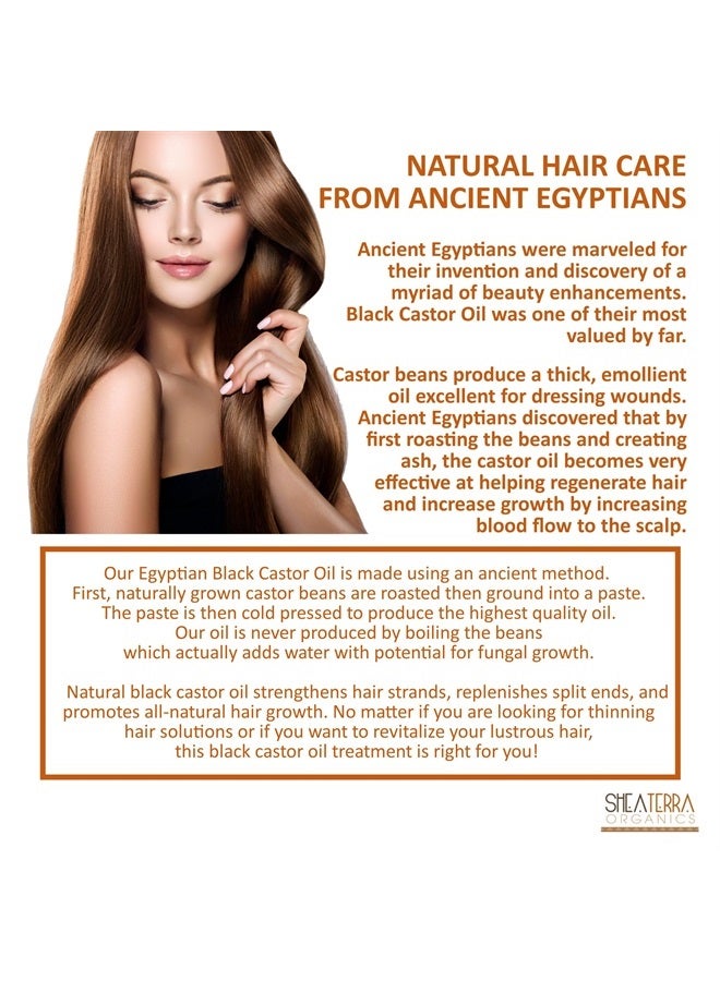 Shea Terra Organics 100 Percent Pure Egyptian Black Castor Extra Virgin Oil – Argan and Amla | All-Natural Strengthening and Conditioning Hair Oil for Healthy Hair Growth and Scalp– 8 oz  - Image 2