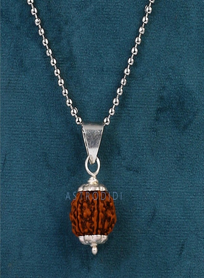 ASTRODIDI Nepali 5 Mukhi Rudraksha Pendant with Lab Report/Certified Natural Five Face Rudraksh with White Metal Capping and Chain for Men and Women (Colo: Brown, Shape: Round) - Image 2