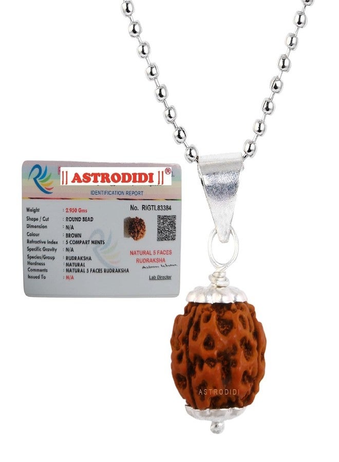 ASTRODIDI Nepali 5 Mukhi Rudraksha Pendant with Lab Report/Certified Natural Five Face Rudraksh with White Metal Capping and Chain for Men and Women (Colo: Brown, Shape: Round) - Image 1