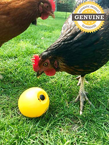 Savic Bird Food Feeder Ball Chicken Toy – Interactive Chicken Treat Dispenser Easy to Fill, Fun Feeding Ball for Birds & Poultry Encourages Pecking & Foraging Behavior - Image 3