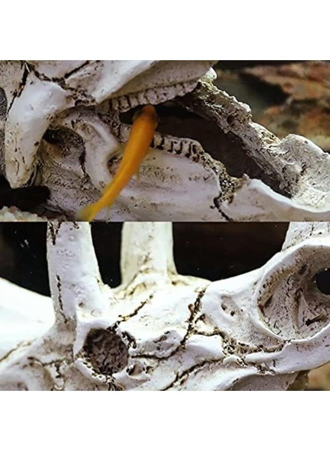 Dinosaur Skull Head Decor - Image 3