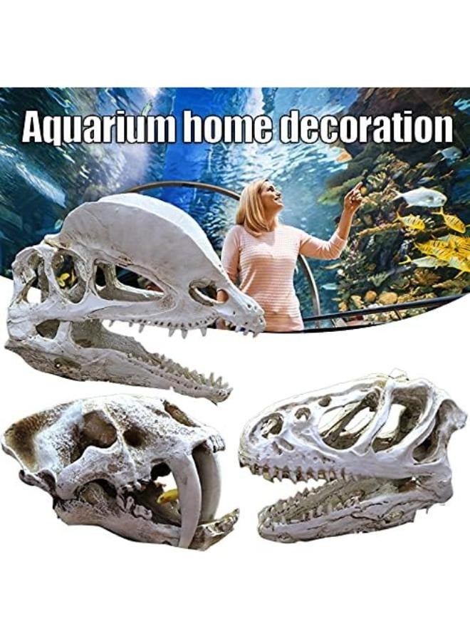 Dinosaur Skull Head Decor - Image 4