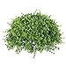 Vickerman Everyday 12" Indoor Artificial Mixed Greenery Half Ball - Wild Green Foliage - Made of Durable Polyester - Image 2