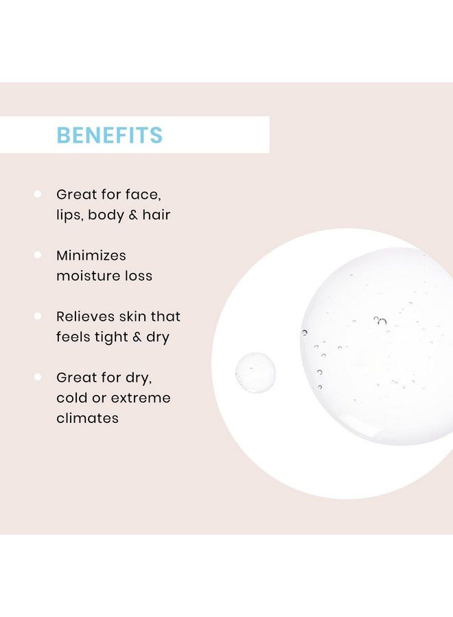 Timeless Skin Care زيت السكوالان 100% نقي 2 أونصة زيت خفيف من النباتات يجف يحسن مرونة البشرة وإشراقتها ينظم إنتاج الزيت لجميع أنواع البشرة بما في ذلك البشرة المعرضة لحب الشباب - Image 4