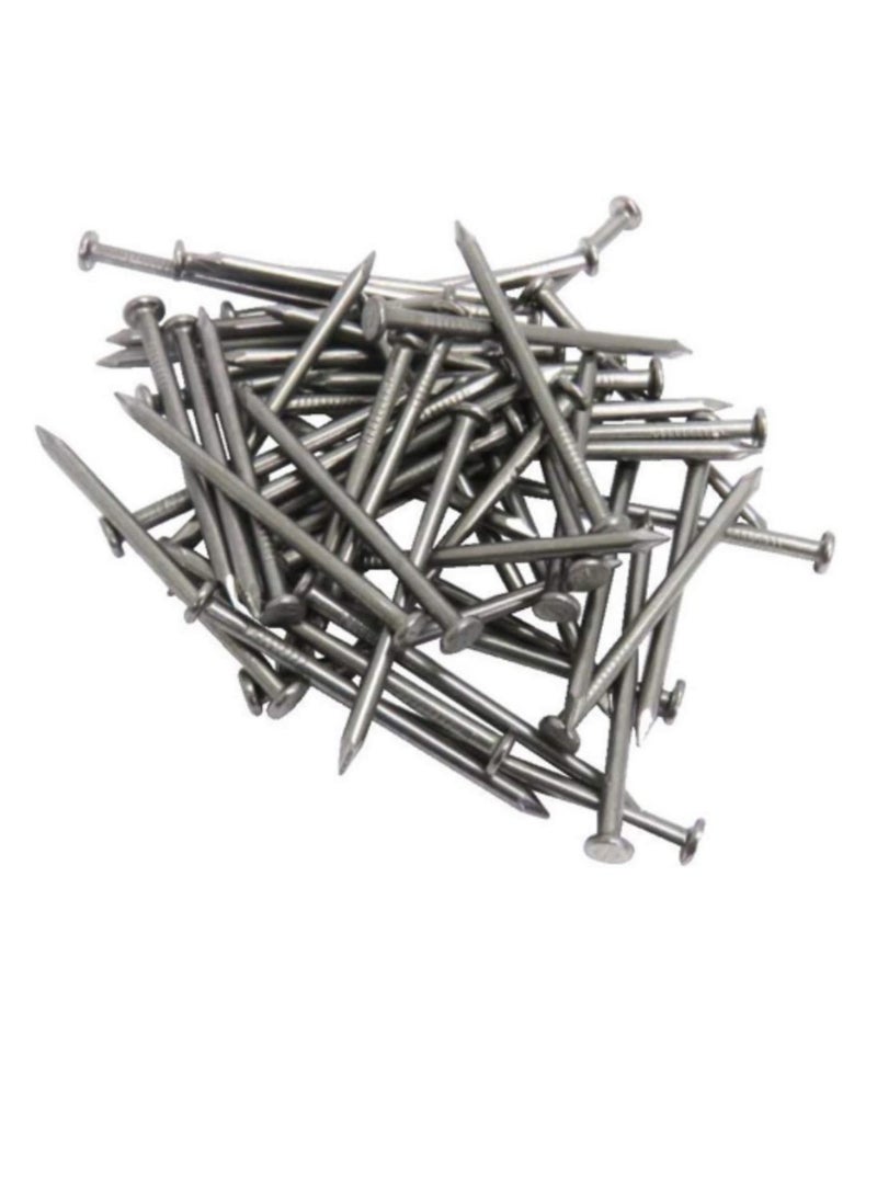 High Strength Round Head Nails For Carpentry Hardware Electrical Etc (600, 3/4 inch) - Image 1
