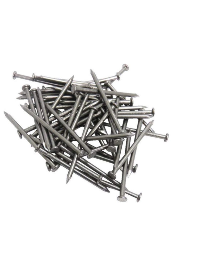 High Strength Round Head Nails For Carpentry Hardware Electrical Etc (600, 3/4 inch) - Image 3