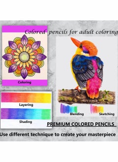 Y&D Premium Colored Pencils Set of 120 Colors,Artists Soft Core with Vibrant Color,Ideal for Drawing Sketching Shading,Coloring Adults Beginners kids  - Image 4