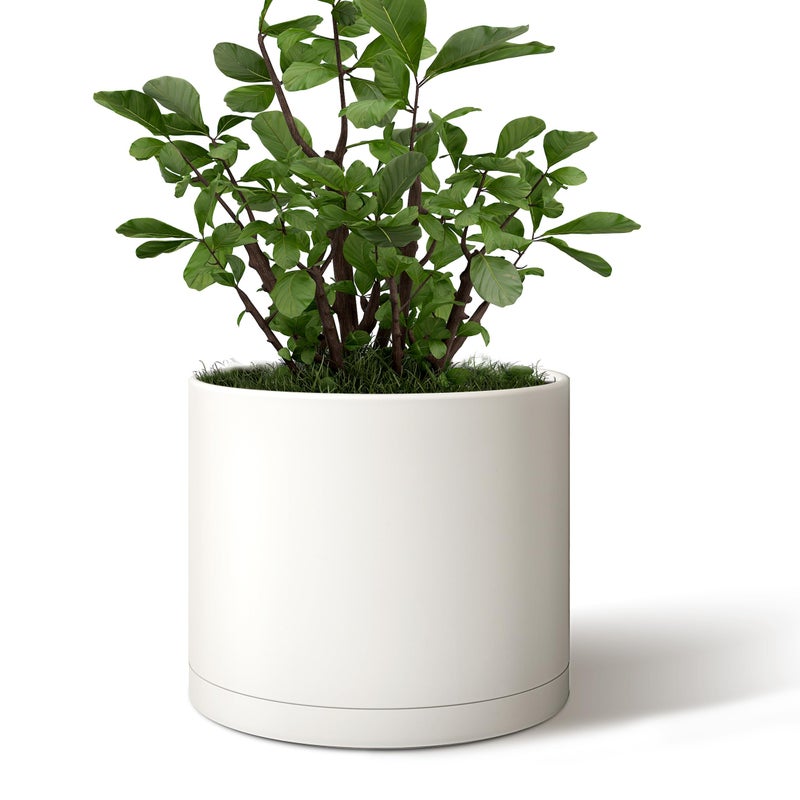 Giraffe Creation 10-Inch Round Cylinder Plant Pot, Modern Indoor/Outdoor Planter with Drainage Hole, Saucer & Water Reservoir, White - Image 1