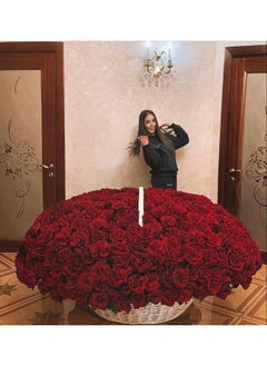 Be My Habibi Grand Arrangment.