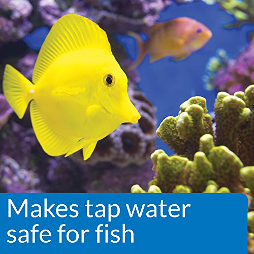 API MARINE QUICK START Saltwater And Reef Aquarium Nitrifying Bacillus 16-Ounce Bottle - Image 3