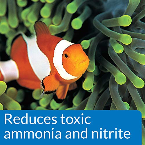 API MARINE QUICK START Saltwater And Reef Aquarium Nitrifying Bacillus 16-Ounce Bottle - Image 4