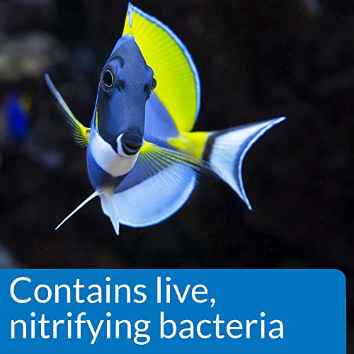 API MARINE QUICK START Saltwater And Reef Aquarium Nitrifying Bacillus 16-Ounce Bottle - Image 5