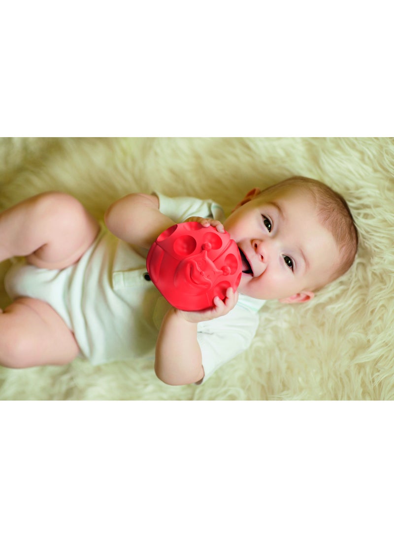 Clementoni Baby Animal Sensory Balls | Soft Squeezy Toy | Sensory Stimulation | Early Development Toy | Grasping and Tactile Exploration | Develop Early Problem-Solving Skills | Perfect Gift for Baby and Toddler - Image 4