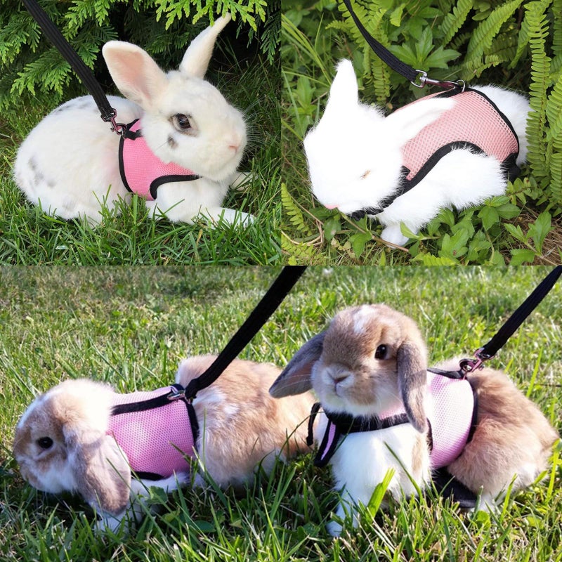 CUTENNIOU Small Pet Carrier Backpack Rabbit Carrier with Harness Vest Stretchy Elastic Leash Large Breathable Pet Carrier Airline Approved for Bunny Guinea Pig Ferret Hedgehog Kitten Travel Walking - Image 5