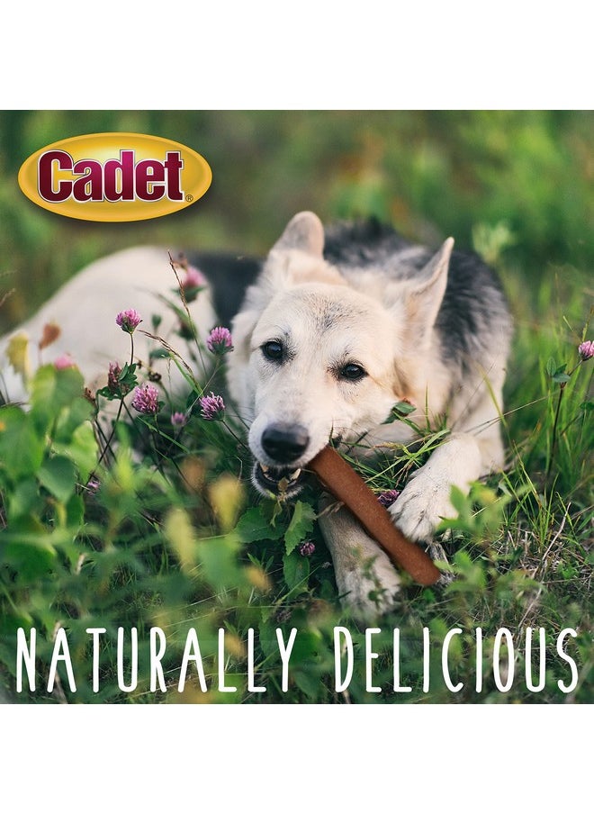 Cadet Cadet Gourmet Savory Duck Rolls Dog Treats - Healthy & Natural Duck Dog Treats for Small & Large Dogs - Rawhide Alternative - Inspected & Tested in USA, 7 In. (2 Count)  - Image 2
