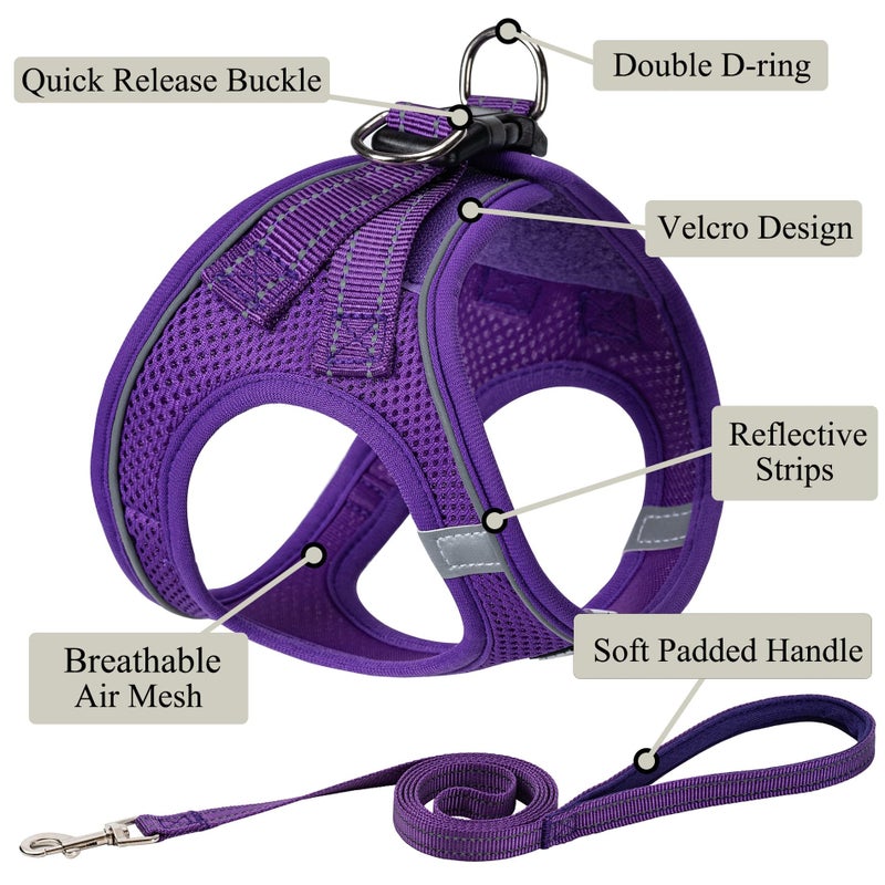 BOOMIBOO Dog Harness with Leash Set, No Pull Adjustable Reflective Step-in Puppy Pet Vest Harnesses for Small Medium Large Dogs and Cats,Purple XS - Image 2