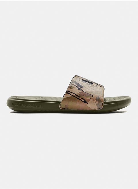 Ansa Graphic Slides
