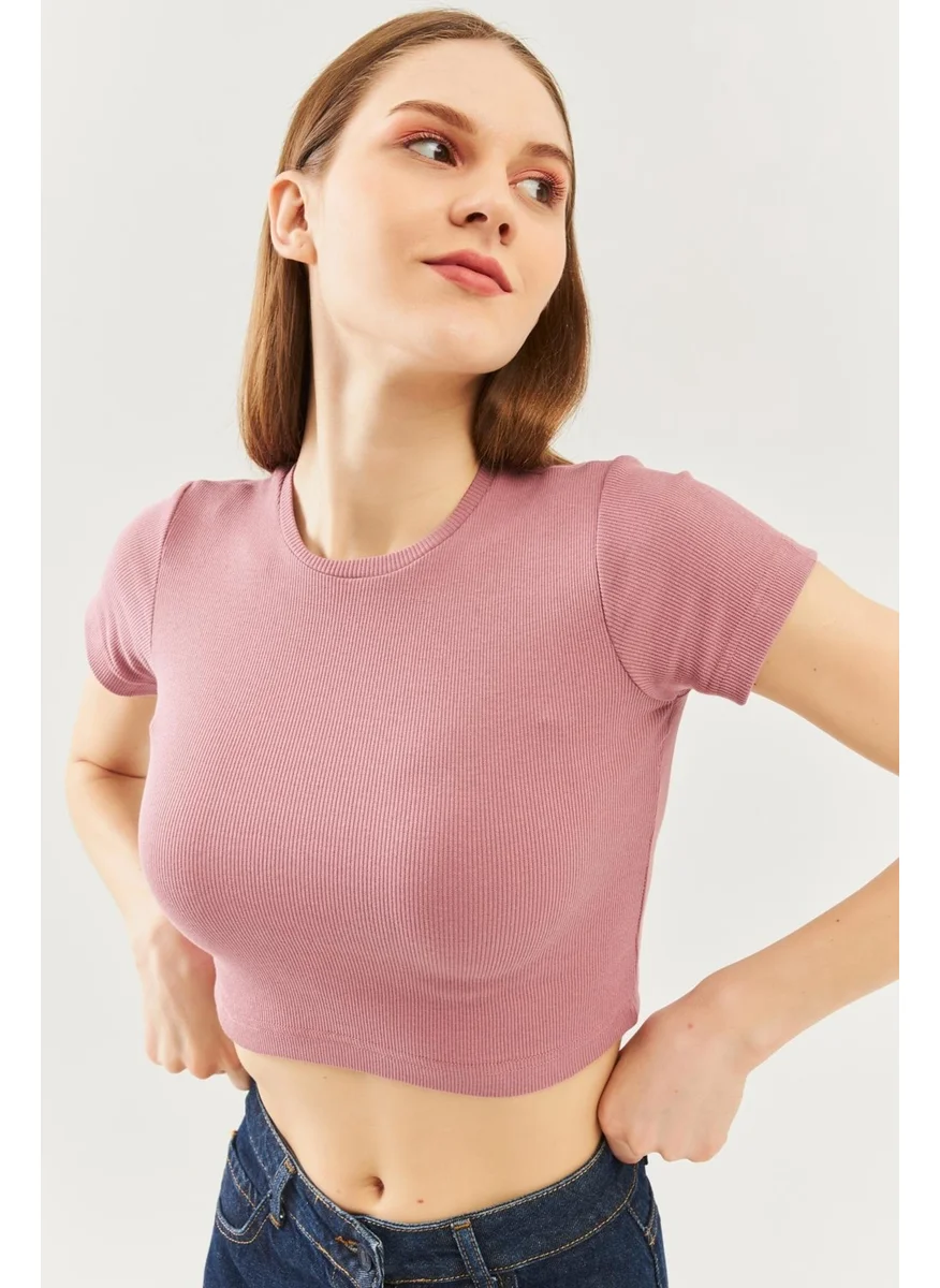 Butikgiz Gül Kurusu Kısa Kol Bisiklet Yaka Vücuda Oturan %100 Pamuklu Kaşkorse Esnek Crop Bluz