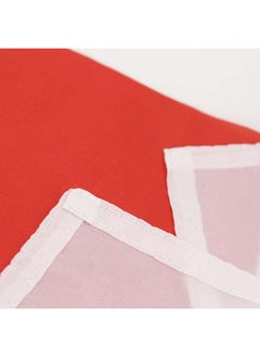 THE BABA Georgia Flag 2'X3' (60X90Cm) For Euro 2024 - Good Quality - Indoor And Outdoor Use  - Image 3