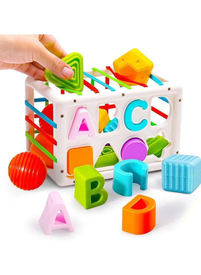 Montessori Toys for 1 Year Old,Sensory Shape Toys for Babies,Sorter Activity Cube Bin with Colorful Elastic Bands and 14 Pcs Multi Sorting Blocks,Learning Gifts for Girls Boys