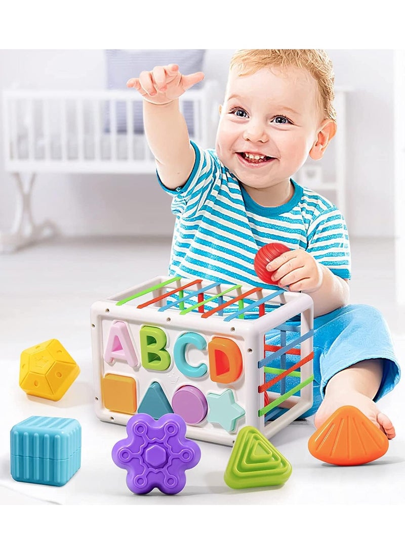 Montessori Toys for 1 Year Old,Sensory Shape Toys for Babies,Sorter Activity Cube Bin with Colorful Elastic Bands and 14 Pcs Multi Sorting Blocks,Learning Gifts for Girls Boys
