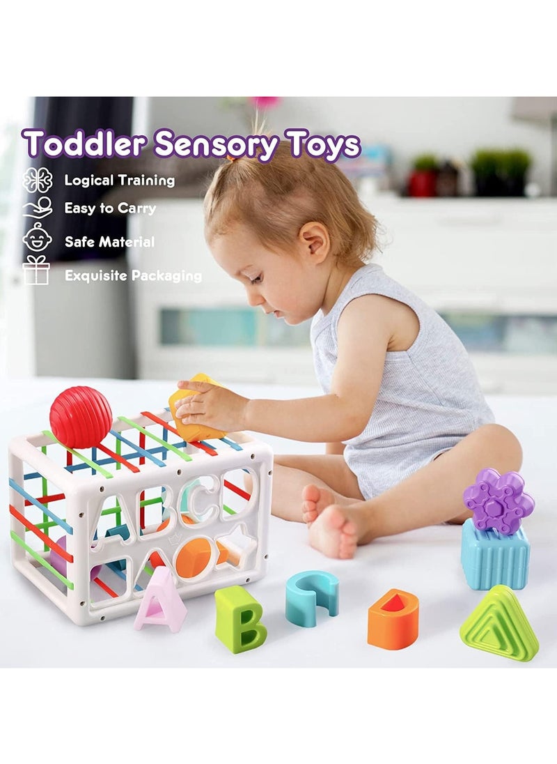 Montessori Toys for 1 Year Old,Sensory Shape Toys for Babies,Sorter Activity Cube Bin with Colorful Elastic Bands and 14 Pcs Multi Sorting Blocks,Learning Gifts for Girls Boys