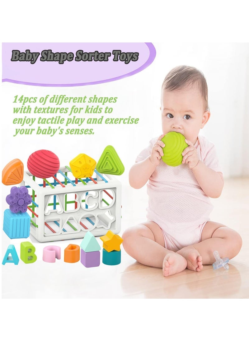 Montessori Toys for 1 Year Old,Sensory Shape Toys for Babies,Sorter Activity Cube Bin with Colorful Elastic Bands and 14 Pcs Multi Sorting Blocks,Learning Gifts for Girls Boys