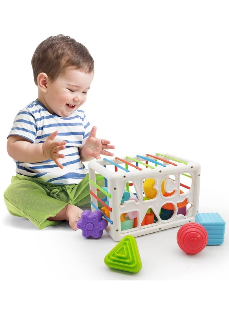Montessori Toys for 1 Year Old,Sensory Shape Toys for Babies,Sorter Activity Cube Bin with Colorful Elastic Bands and 14 Pcs Multi Sorting Blocks,Learning Gifts for Girls Boys