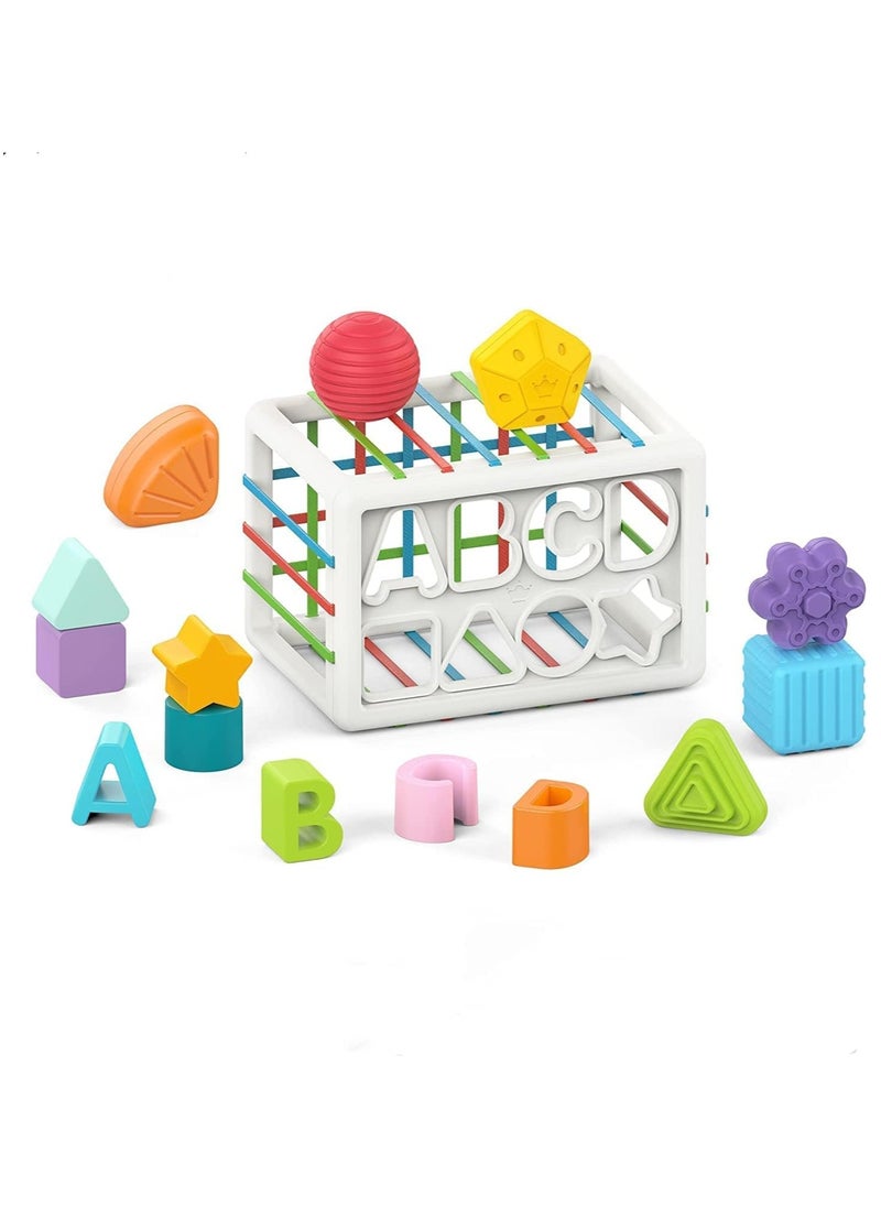Montessori Toys for 1 Year Old,Sensory Shape Toys for Babies,Sorter Activity Cube Bin with Colorful Elastic Bands and 14 Pcs Multi Sorting Blocks,Learning Gifts for Girls Boys