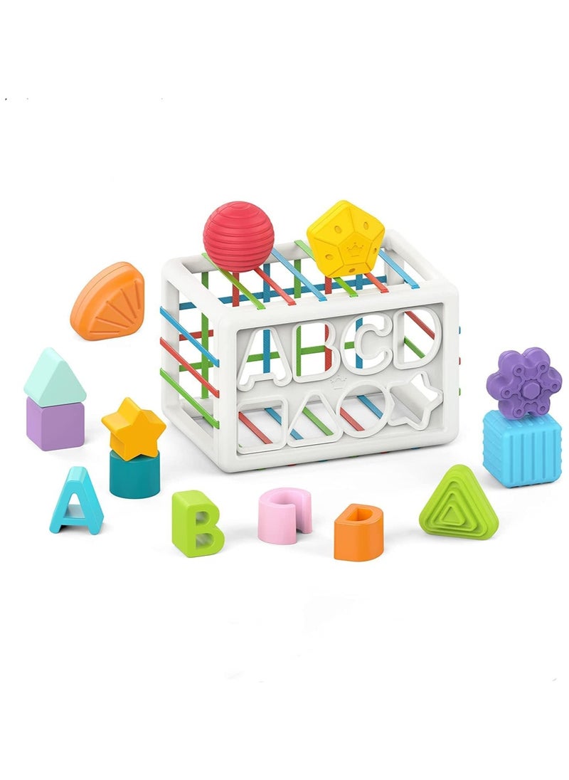 Montessori Toys for 1 Year Old,Sensory Shape Toys for Babies,Sorter Activity Cube Bin with Colorful Elastic Bands and 14 Pcs Multi Sorting Blocks,Learning Gifts for Girls Boys