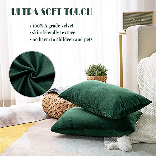 Stellhome Pack of 2 Throw Pillow Covers Rectangle Super Soft Solid Velvet Pillowcase for Bed Couch Sofa Bench, 12 x 20 inch (30 x 50 cm), Olive - Image 2