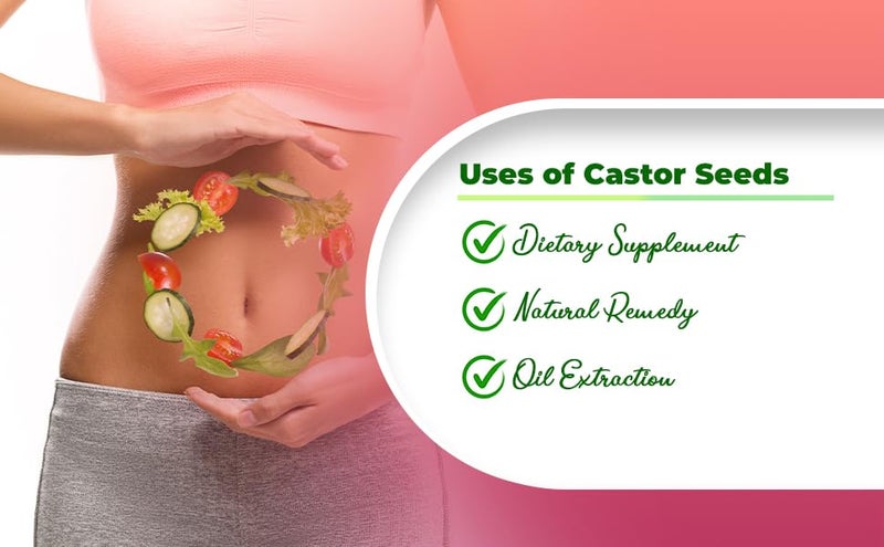 Shree Jee Organic بذور الخروع العضوية شري جي بذور أرندي نقية وغنية بالمغذيات لصحة ورفاهية 500 جرام - Image 3