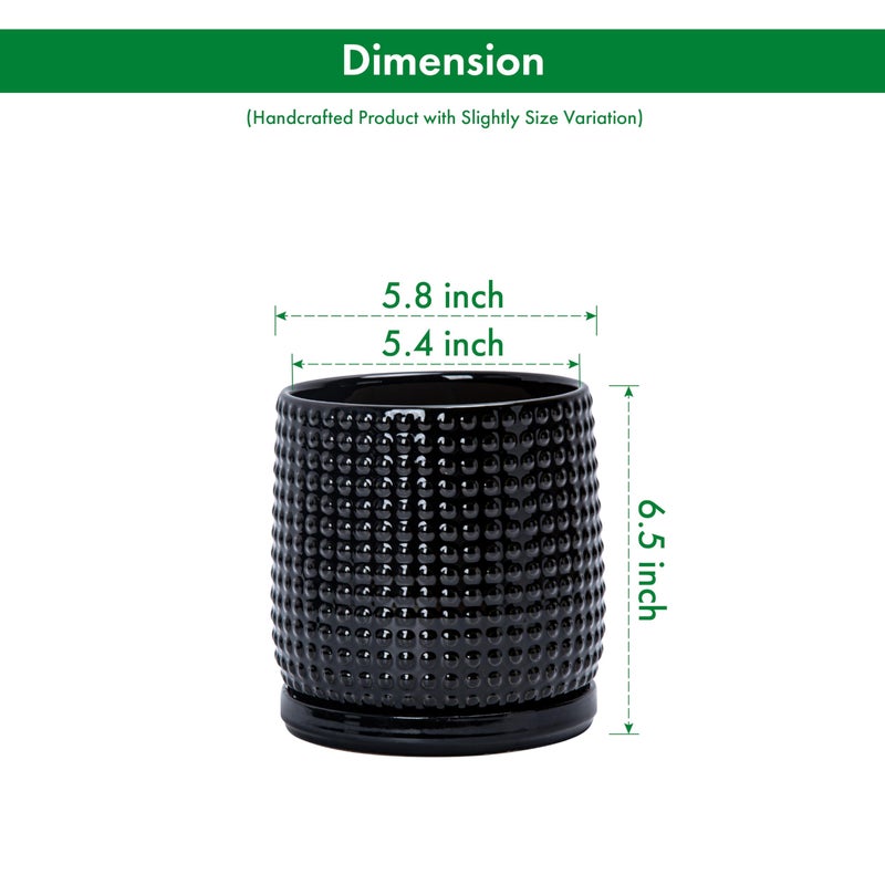 D'vine Dev 6 Inch Ceramic Beaded Stoneware Planter Pot - Flower Pot with Drainage Holes and Saucers for Indoor Succulent Plants or Flowers, Glossy Black, 27-C-X-2 - Image 3