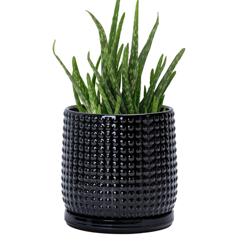 D'vine Dev 6 Inch Ceramic Beaded Stoneware Planter Pot - Flower Pot with Drainage Holes and Saucers for Indoor Succulent Plants or Flowers, Glossy Black, 27-C-X-2 - Image 1