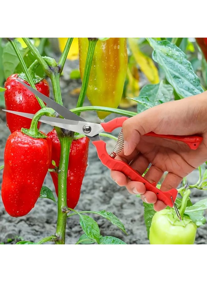 مقصات تقليم احترافية 8.26 بوصة شفرات من الفولاذ المقاوم للصدأ مقابض مريحة مقصات خضروات وفواكه - Image 4