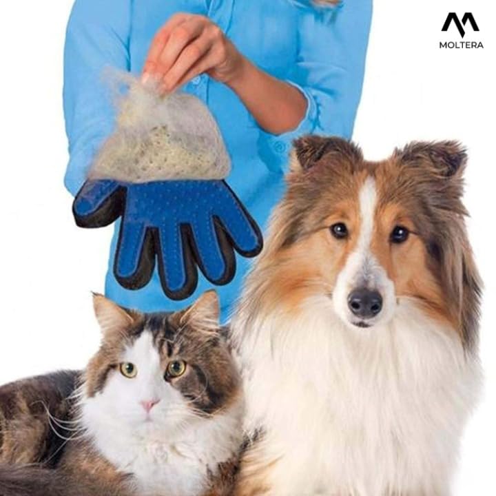 MOLTERA Efficient Pet Hair Remover Mitt Enhanced 5 Finger Design Gentle Deshedding Brush Gloves for Dog and Cat with Long and Short Fur (Multicolour, 1 Piece) - Image 3