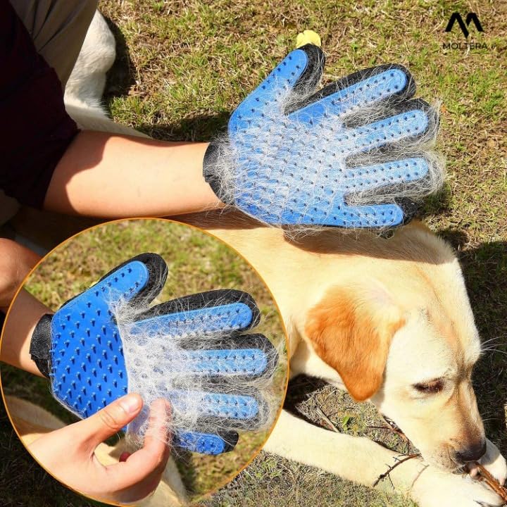 MOLTERA Efficient Pet Hair Remover Mitt Enhanced 5 Finger Design Gentle Deshedding Brush Gloves for Dog and Cat with Long and Short Fur (Multicolour, 1 Piece) - Image 5